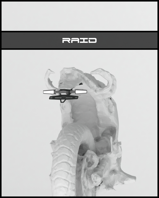 RAID - KTM ENDURO R 390 Tail tidy